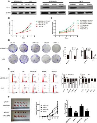 Corrigendum: Upregulation of CCT-3 Induces Breast Cancer Cell Proliferation Through miR-223 Competition and Wnt/b-Catenin Signaling Pathway Activation